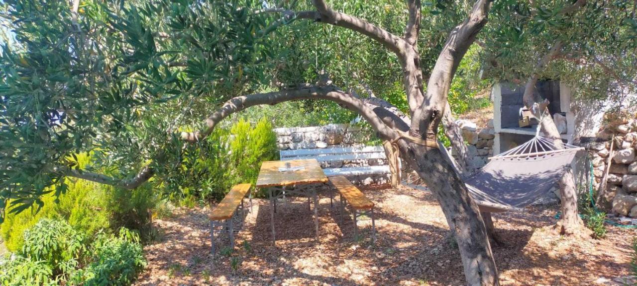 Apartment Croatia Art دراسنيتش المظهر الخارجي الصورة