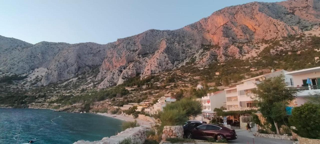 Apartment Croatia Art دراسنيتش المظهر الخارجي الصورة
