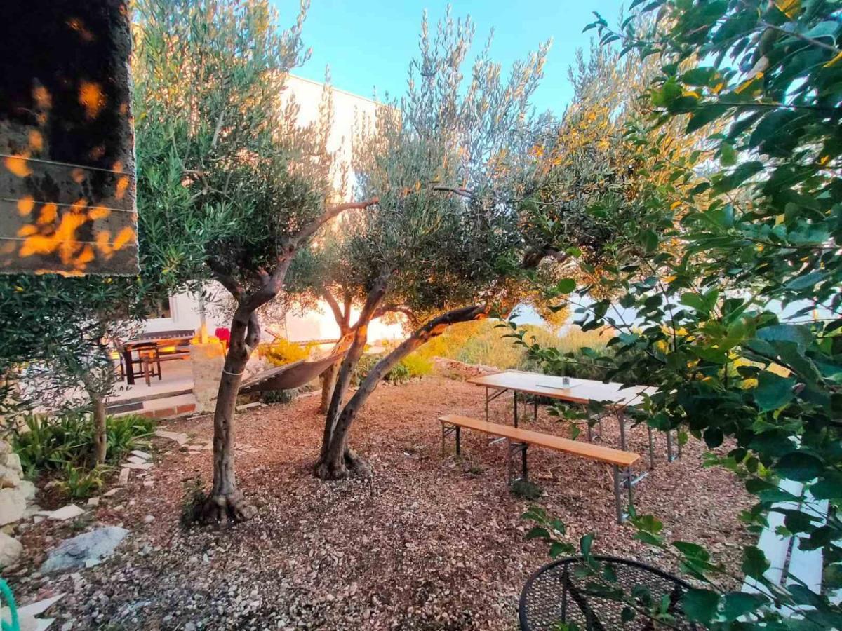 Apartment Croatia Art دراسنيتش المظهر الخارجي الصورة