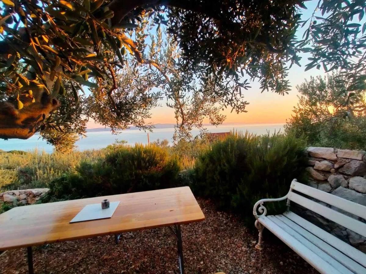 Apartment Croatia Art دراسنيتش المظهر الخارجي الصورة
