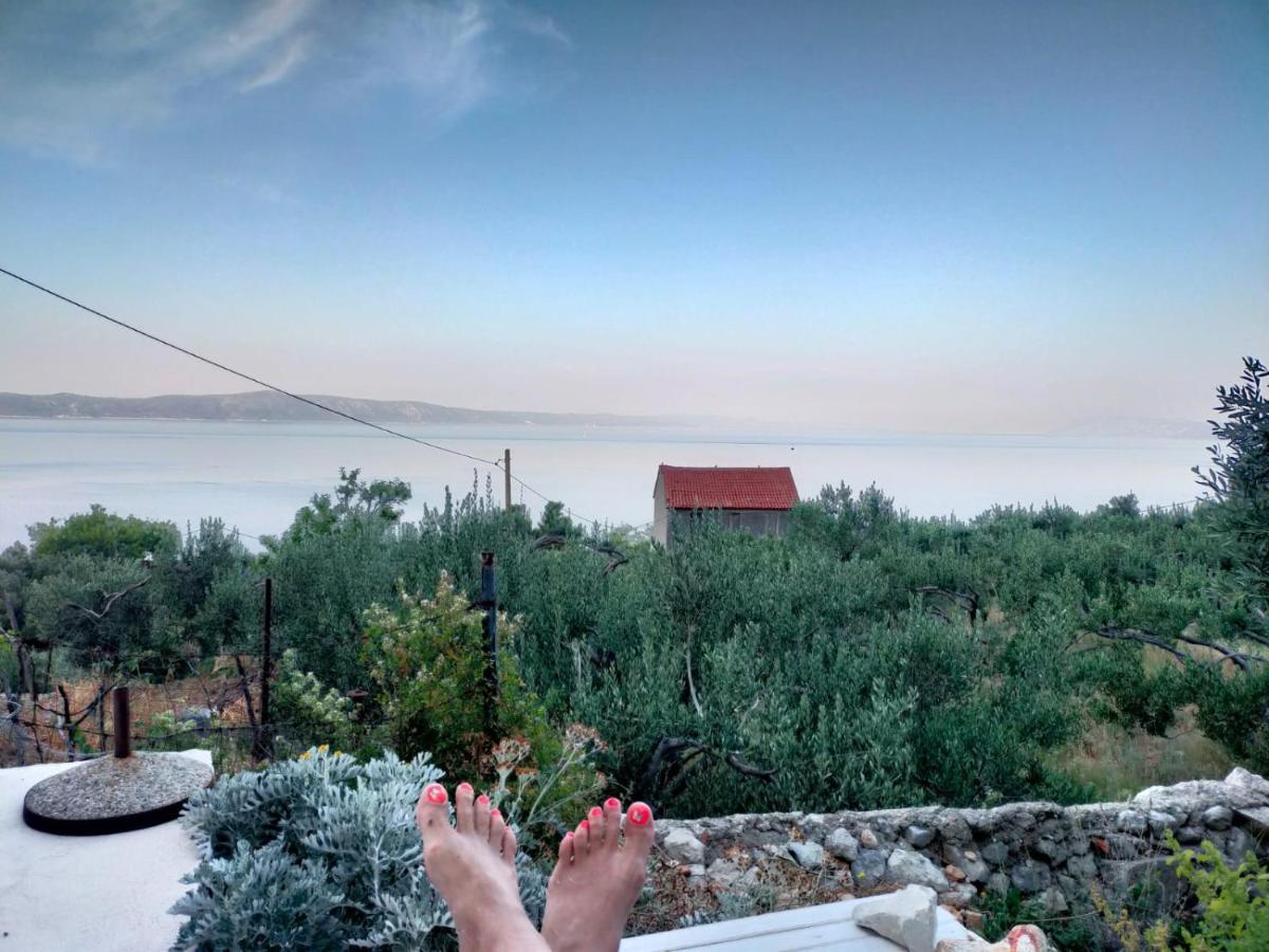 Apartment Croatia Art دراسنيتش المظهر الخارجي الصورة
