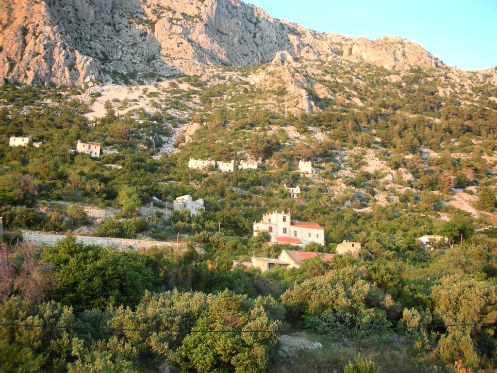 Apartment Croatia Art دراسنيتش المظهر الخارجي الصورة