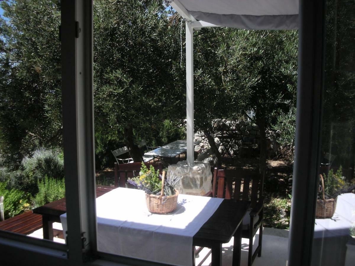 Apartment Croatia Art دراسنيتش المظهر الخارجي الصورة
