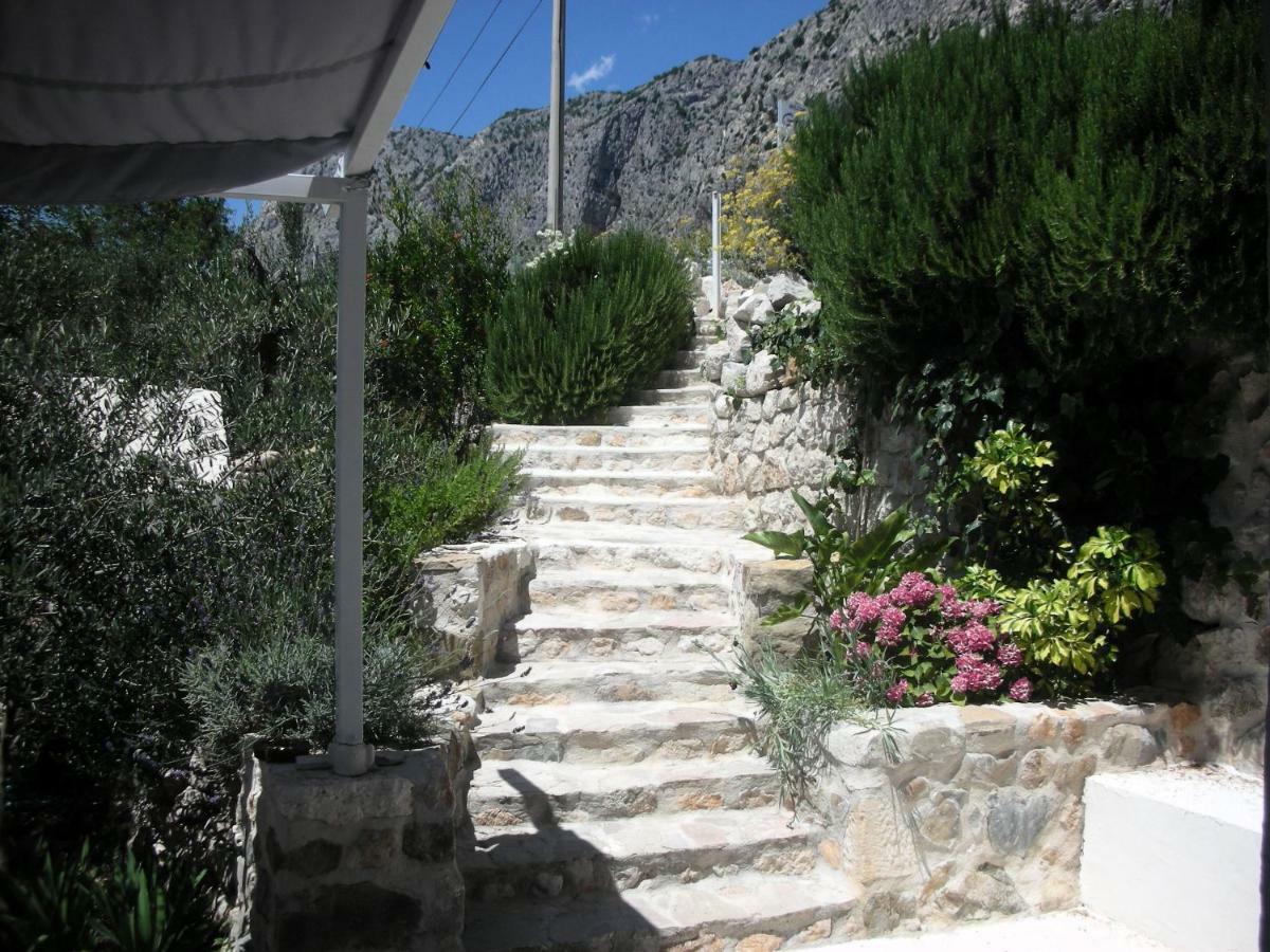 Apartment Croatia Art دراسنيتش المظهر الخارجي الصورة