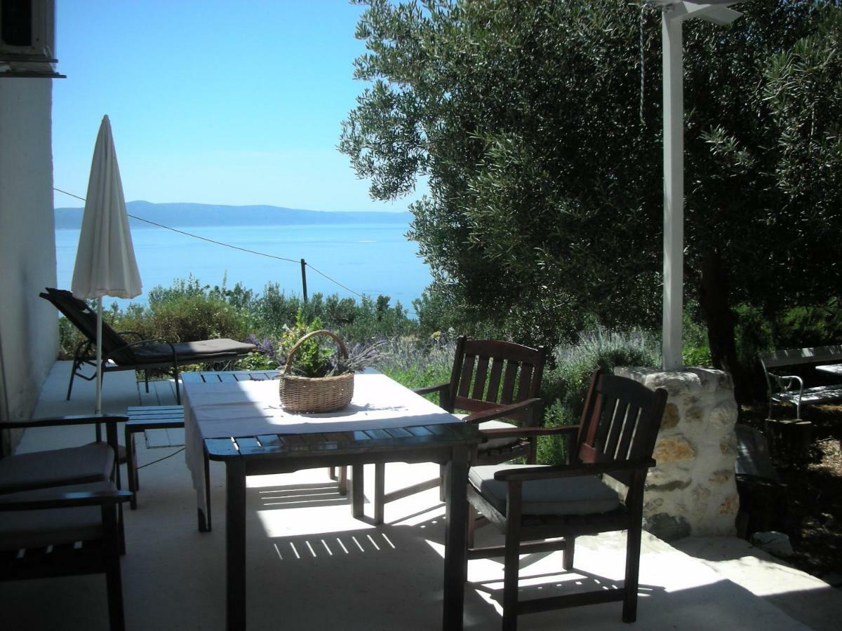 Apartment Croatia Art دراسنيتش المظهر الخارجي الصورة
